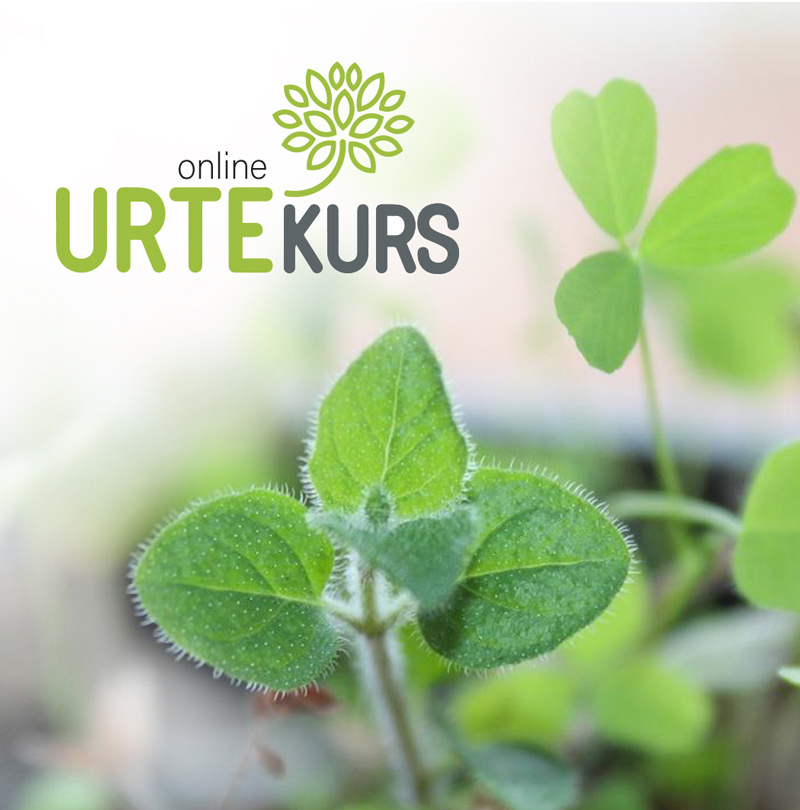 urtekurslogo800_cropped